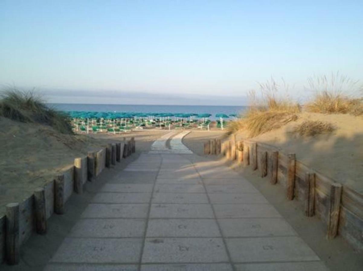 Bilocale A 40 Mt. Dalla Spiaggia Circondato Dalla Pineta Marina di Grosseto Dış mekan fotoğraf