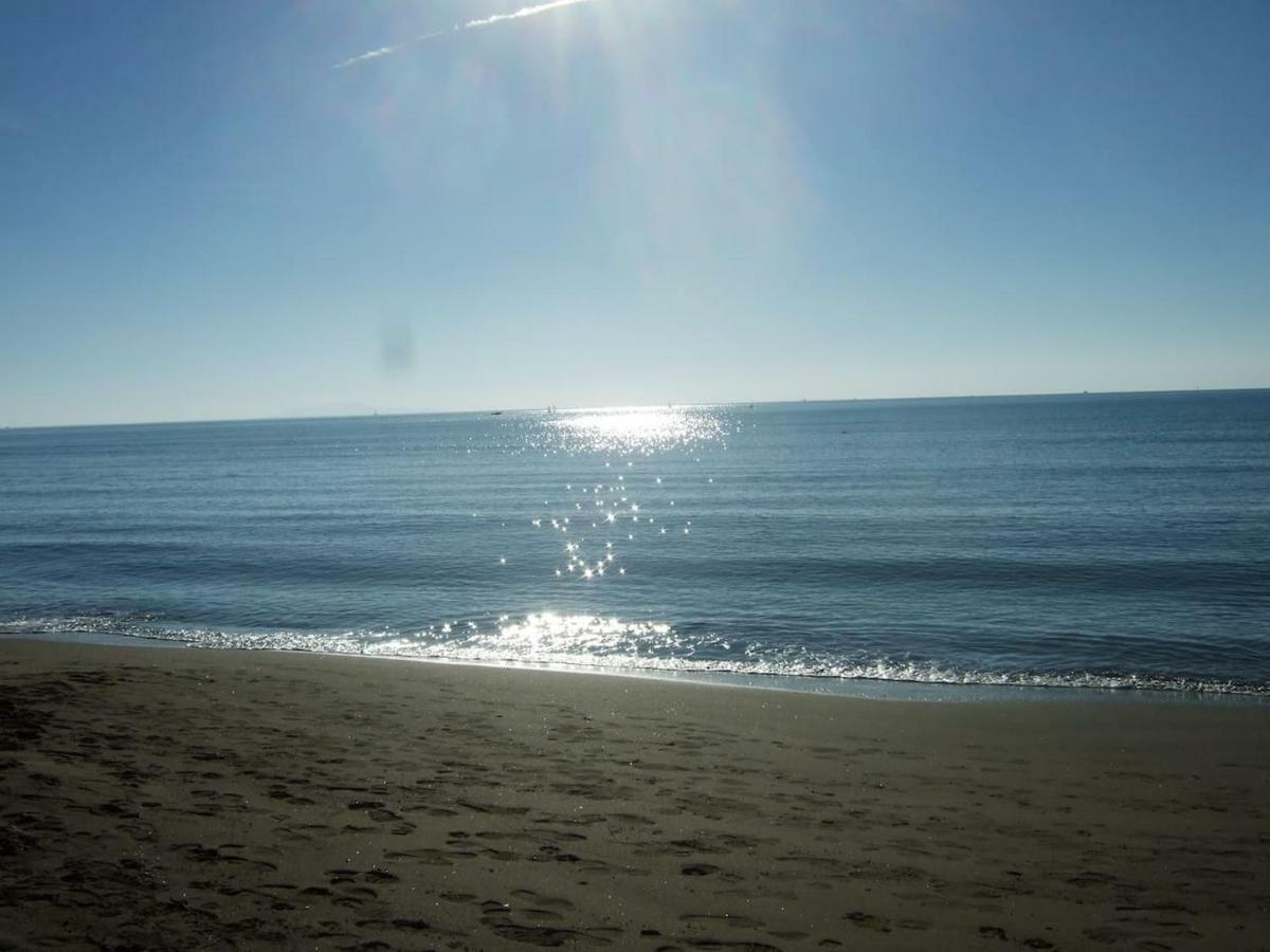 Bilocale A 40 Mt. Dalla Spiaggia Circondato Dalla Pineta Marina di Grosseto Dış mekan fotoğraf